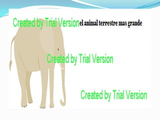 presentacion de edraw