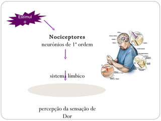 Nociceptores neurónios de 1ª ordem sistema límbico percepção da sensação de Dor Estímulo FISIOLOGIA DA DOR 