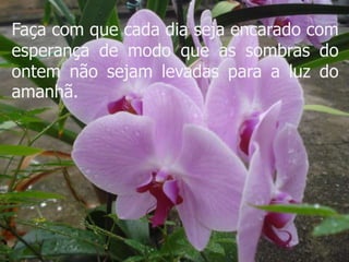 Faça com que cada dia seja encarado com
esperança de modo que as sombras do
ontem não sejam levadas para a luz do
amanhã.
 