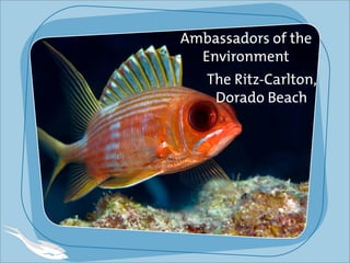 Ambassadors of the
Environment
The Ritz-Carlton,
Dorado Beach
 