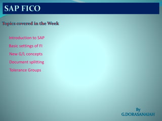 Introduction to SAP
Basic settings of FI
New G/L concepts
Document splitting
Tolerance Groups
 