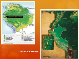 Producción de Oro –5.864 millonesozporaño.El cinturón de Cobre y Oro de mejor perspectiva y sin desarrollo.Depositosformados 155 millones a 30 millones de añosatras. 