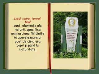 Lacul, codrul, izvorul,
teiul
sunt elemente ale
naturii, specifice
eminesciene, întâlnite
în operele marelui
poet de când era
copil şi până la
maturitate.
 