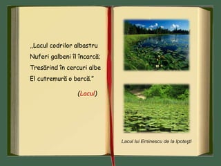 ,,Lacul codrilor albastru
Nuferi galbeni îl încarcă;
Tresărind în cercuri albe
El cutremură o barcă.”
(Lacul)
Lacul lui Eminescu de la Ipoteşti
 