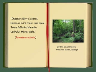 “Împărat slăvit e codrul,
Neamuri mii îi cresc sub poale,
Toate înflorind din mila
Codrului, Măriei-Sale.”
(Povestea codrului)
Codrul lui Eminescu –
Pădurea Baisa, Ipoteşti
 