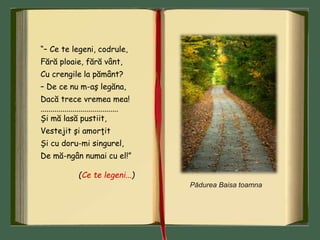 “– Ce te legeni, codrule,
Fără ploaie, fără vânt,
Cu crengile la pământ?
– De ce nu m-aş legăna,
Dacă trece vremea mea!
.......................................
Şi mă lasă pustiit,
Vestejit şi amorţit
Şi cu doru-mi singurel,
De mă-ngân numai cu el!”
(Ce te legeni...)
Pădurea Baisa toamna
 