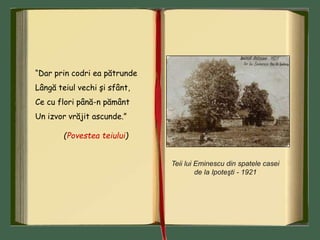 “Dar prin codri ea pătrunde
Lângă teiul vechi şi sfânt,
Ce cu flori până-n pământ
Un izvor vrăjit ascunde.”
(Povestea teiului)
Teii lui Eminescu din spatele casei
de la Ipoteşti - 1921
 