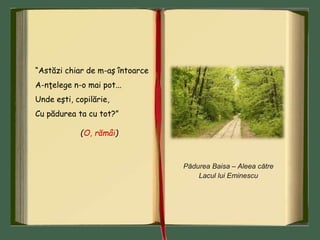 “Astăzi chiar de m-aş întoarce
A-nţelege n-o mai pot...
Unde eşti, copilărie,
Cu pădurea ta cu tot?”
(O, rămâi)
Pădurea Baisa – Aleea către
Lacul lui Eminescu
 