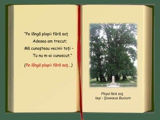 “Pe lângă plopii fără soţ
Adesea am trecut;
Mă cunoşteau vecinii toţi –
Tu nu m-ai cunoscut.”
(Pe lângă plopii fără soţ...)
Plopii fără soţ,
Iaşi - Şoseaua Bucium
 