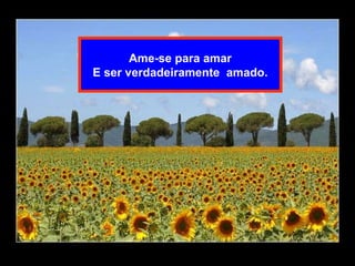 Ame-se para amar E ser verdadeiramente  amado. 