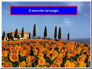 O arco-íris vai surgir, 