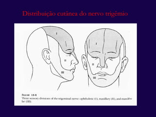 Distribuição cutânea do nervo trigêmio 
