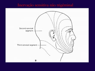 Inervação sensitiva não trigêminal 