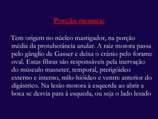 Porção motora: Tem origem no núcleo mastigador, na porção média da protuberância anular. A raiz motora passa pelo gânglio de Gasser e deixa o crânio pelo forame oval. Estas fibras são responsáveis pela inervação do músculo masseter, temporal, pterigóideo externo e interno, milo-hióideo e ventre anterior do digástrico. Na lesão motora à esquerda ao abrir a boca se desvia para à esqueda, ou seja o lado lesado  