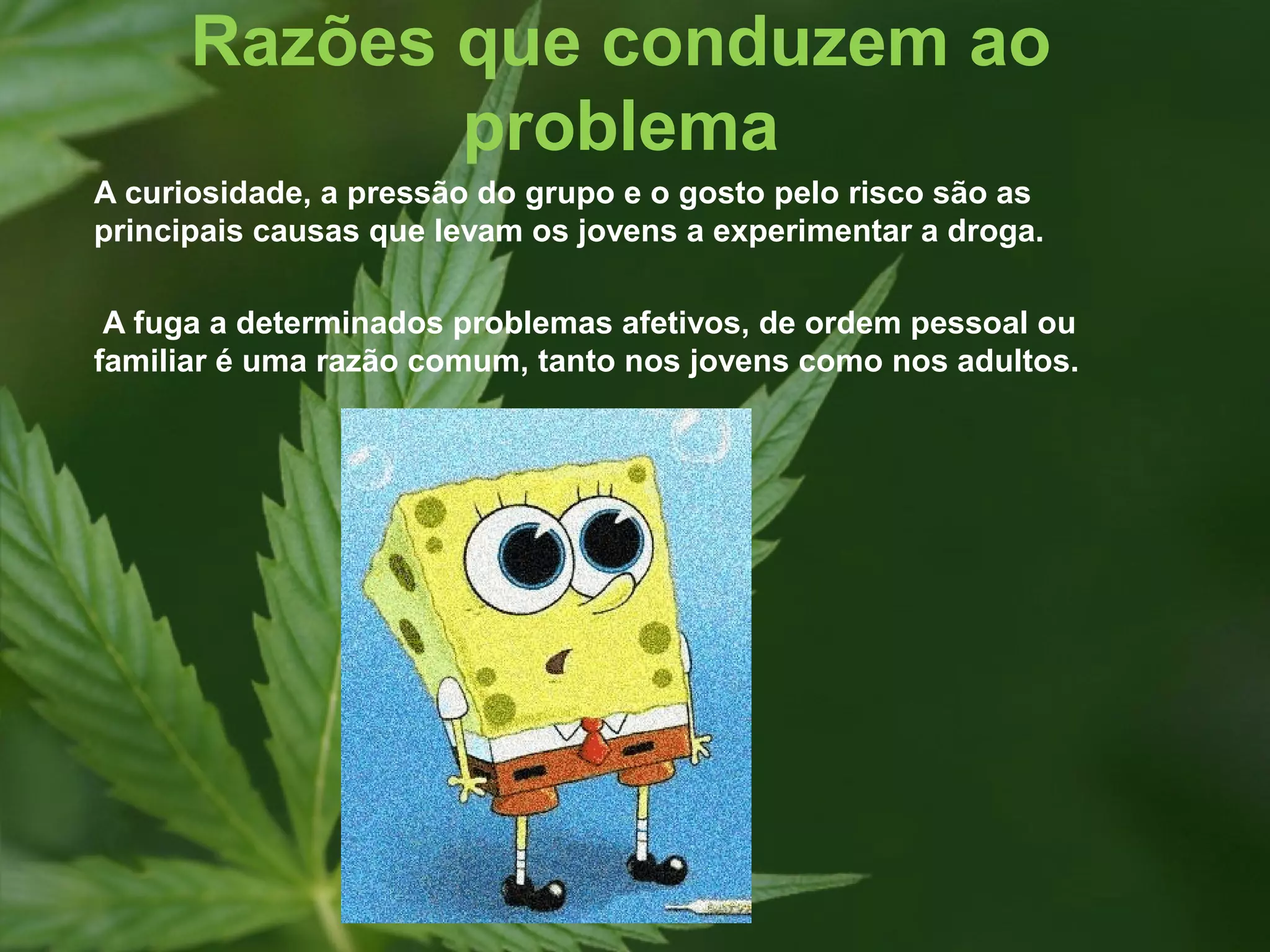 Razões que conduzem ao
             problema
A curiosidade, a pressão do grupo e o gosto pelo risco são as
principais causas que levam os jovens a experimentar a droga.

 A fuga a determinados problemas afetivos, de ordem pessoal ou
familiar é uma razão comum, tanto nos jovens como nos adultos.
 