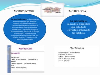 MORFOSINTAXIS MORFOLOGIA
La morfosintaxis es el conjunto de
elementos y reglas que permiten
construir oraciones con sentido y
carentes de ambigüedad mediante el
marcaje de relaciones gramaticales,
indexaciones y estructura jerárquica
de constituyentes sintácticos.12 Incluye
la morfología y la sintaxis,3 dos
componentes de la gramática que, por
utilidad didáctica y conceptual, se
analizan por separado
La morfología,
rama de la lingüística
que estudia la
estructura interna de
las palabras.
 