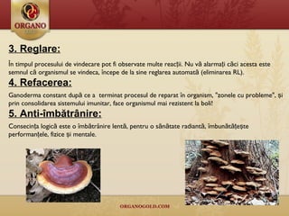 3.  Reglare : În  timpul procesului de vindecare pot fi observate multe reac ţ ii. Nu v ă  alarma ţ i c ă ci acesta este semnul c ă  organismul se vindeca ,   î ncepe de  la  sine reglarea automată ( eliminarea RL ).  4.  Refacerea : Ganoderma constant după ce a  terminat procesul de reparat în organism, "zonele cu probleme", şi prin consolidarea sistemului imunitar, face organismul mai rezistent la boli! 5. Anti- îmbătrânire : Consecinţa logică este o îmbătrânire lentă, pentru o sănătate radiantă, îmbunătăţeşte performanţele,  fizice şi mentale. 