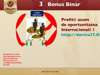 Liniile superioare Persoanele cu rosu Sunt persoane ce au ajuns  î n afacerea Dvs  pe  care nu  îi  cuno ş teti dar profita ţ i din plin . Profită acum  de oportunitatea Internaţională ! http://dorina27.OrGanoGold.com/na/biz/ 3   Bonus Binar 