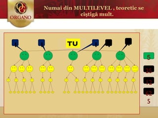 Numai din  MULTILEVEL , teoreti c se cîştigă mult. 1 1 1 1 1 625 TU 25 125 