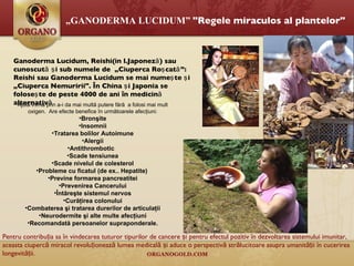 Ganoderma Lucidum, Reishi (in l.Japoneză)   sau cunoscută şi sub numele de  „Ciuperca Roşcată” : Reishi  sau  Ganoderma Lucidum  se  mai  numeşte   şi  „ Ciuperca Nemuririi ".  În China şi Japonia se foloseşte de peste 4000 de ani în medicină alternativă   „ GANODERMA LUCIDUM ”  "Regele miraculos al plantelor"   Ajută inima prin a-i da mai multă putere fără  a folosi mai mult oxigen.  Are efecte benefice în următoarele afecţiuni: Bron şite Insomnii Tratarea bolilor Autoimune Alergii Antithromboti c  Scade tensiune a Scade nivelul de colesterol Probleme cu ficatul  ( de ex. .  Hepatit e )  Previne formarea pancreatitei Prevenirea Cancerului Întăreşte sistemul nervos Curăţirea colonului Combaterea şi tratarea durerilor de articulaţii Neurodermit e   şi alte multe afecţiuni Recomandată persoanelor supraponderale. Pentru contribuţia sa în vindecarea tuturor tipurilor de cancere şi pentru efectul pozitiv în dezvoltarea sistemului imunitar, aceasta ciupercă miracol revoluţionează lumea medicală şi aduce o perspectivă strălucitoare asupra umanităţii în cucerirea longevităţii. 