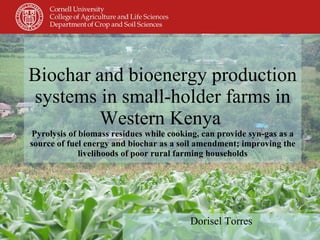 Biochar and bioenergy production systems in small-holder farms in Western Kenya  Pyrolysis of biomass residues while cooking, can provide syn-gas as a source of fuel energy and biochar as a soil amendment; improving the livelihoods of poor rural farming households Dorisel Torres 