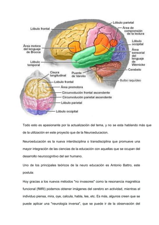 Todo esto es apasionante por la actualización del tema, y no se esta hablando más que

de la utilización en este proyecto que de la Neuroeducacion.

Neuroeducación es la nueva interdisciplina o transdisciplina que promueve una

mayor integración de las ciencias de la educación con aquellas que se ocupan del

desarrollo neurocognitivo del ser humano.

Uno de los principales teóricos de la neuro educación es Antonio Battro, este

postula:

Hoy gracias a los nuevos métodos "no invasores" como la resonancia magnética

funcional (fMRI) podemos obtener imágenes del cerebro en actividad, mientras el

individuo piensa, mira, oye, calcula, habla, lee, etc. Es más, algunos creen que se

puede aplicar una "neurología inversa", que se puede ir de la observación del
 