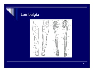 41

 