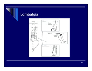 42

 