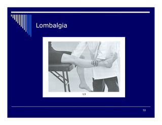 53

 