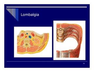 14

 