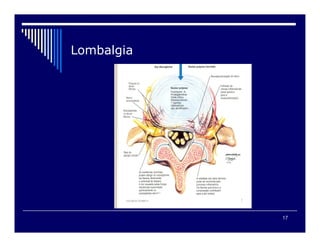 17

 