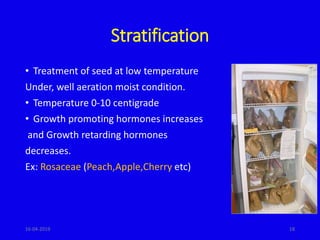 Stratification
• Treatment of seed at low temperature
Under, well aeration moist condition.
• Temperature 0-10 centigrade
• Growth promoting hormones increases
and Growth retarding hormones
decreases.
Ex: Rosaceae (Peach,Apple,Cherry etc)
1816-04-2019
 