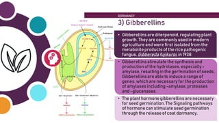 Dormancy , Hormonal regulation of seed germination , Role of Plant ...
