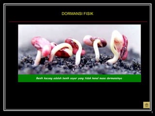 DORMANSI FISIK




Benih kacang adalah benih sayur yang tidak kenal masa dormansinya
 