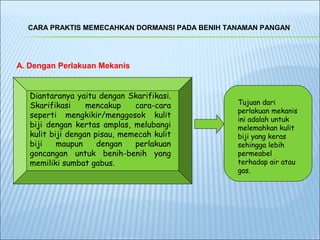 CARA PRAKTIS MEMECAHKAN DORMANSI PADA BENIH TANAMAN PANGAN




A. Dengan Perlakuan Mekanis


   Diantaranya yaitu dengan Skarifikasi.
   Skarifikasi     mencakup    cara-cara        Tujuan dari
                                                perlakuan mekanis
   seperti mengkikir/menggosok kulit
                                                ini adalah untuk
   biji dengan kertas amplas, melubangi         melemahkan kulit
   kulit biji dengan pisau, memecah kulit       biji yang keras
   biji    maupun     dengan   perlakuan        sehingga lebih
   goncangan untuk benih-benih yang             permeabel
   memiliki sumbat gabus.                       terhadap air atau
                                                gas.
 