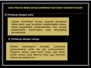 CARA PRAKTIS MEMECAHKAN DORMANSI PADA BENIH TANAMAN PANGAN


D. Perlakuan dengan suhu


     Selama stratifikasi terjadi sejumlah perubahan
     dalam benih yang berakibat menghilangkan bahan-
     bahan penghambat perkecambahan atau terjadi
     pembentukan    bahan-bahan   yang    merangsang
     pertumbuhan.

   E. Perlakuan dengan cahaya


    Cahaya     berpengaruh    terhadap     prosentase
    perkecambahan benih dan laju perkecambahan.
    Pengaruh cahaya pada benih bukan saja dalam
    jumlah cahaya yang diterima tetapi juga intensitas
    cahaya dan panjang hari.
 