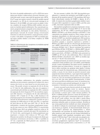 Capítulo3 1 DesenwMmento doslstem•noclceptlvoe supressordador
No inícK>do pcrKXloembrionário. o p75 e o FCN são nt.'<"CS•
sários para mcàiar a sobrevivência n<::urona.L Durante o pe-
ríodo pós-natal, atuam como sinal de apoptosc sem o FCN.
O p7) surge nas regiões vemral e dorsal da medula tspinal
do nconato e no 3~ dia de vid~ pós-naul restringe-se às
l.iminos I e li do CDME, mi como ocorre no adulto. A for-
ma completa do rcccprnr RNAm-ukB também c-scá prc-
sentt· na medula espinal cmbrK>nária. Sua conccntrnção au-
menta progressivamemeacin.g:1odo níveis m:ix1mos ao rcJor
do nascuncnto, declinando na vida adulta. Entretanto, a
apresemação truncada do receptor alcança concentrações
máxim:is ao redor Jo nascimemoe :1.ssim permaneceJur:in•
ce coclaa vida adulca.. A expressãodo TrkC na medula espi-
nal segue padrão similar à da forma completa do TrkB
(Tabela 3.6).
TABELA3.6. Distribuiçãodos receptores na medula espinal
duranteo desenvolvimento
N!ilila.--
p75 Elevada IOICIO(corno LAmtoa l e
ventraVdorsal) li -baixos
ulterio(mente
elevaçAo nas
lam,nas l e 11
RNAm-trkB Pre,ente Elevada Baoca
fo,ma
completa
RNAm-trkB Presente Concentração Elevada
forma ~x1ma
uuncôda
RNAm-trkC Presente Concenuaçao Elevada
rMx,ma
Nos nc.·uron,os cmbrioná.nos do~ gânslios sensmvos
ídcmifica-sc prccoccm<'nrc a proteinado receptor crk, maso
mesmo não ocorre na crisra neural ou nos p~ursorcs neu-
ronais. H:i grar1
de vanardo na exprcss;io do 1rk do clé-<1mo
ao 13~ dias de vtda embrionária. Este pico Jc apoptosc é
caraccenzado ptlo declínio na cxprcssào do trkC e 2uml'mo
da expr~sãodo trkA. E.nquamo97% dos neurônios exprcs-
s-:1m ukC durante o 11
9 primeiro di!l de vida embnon:írfo.•
somcmc 10% o fazem no 13" dia; o crkC localiz.a-sc cm
proporçJo pequena nos neurôniosdosgln81ios scnsirivos n;i
mctaJcdo dcscnvolvimrotoembrionário, pcrk>do cm que a
cxpre~s:io do trkB reduz-se de 409' para 8% e a cxpressjo
de rrkA eleva-se de 20% p,ra 80%. No 13º dia de v,da
embrion!rla a maioria dos neurônios g-anglionares peque-
005 cio nuo rnarca-sc com o RNAm-TrkA. A conccnuuçiio
de RNAm para trkA nos gânglios S<.'flsiti'OS reduz-se de
duas vezes durame o período pós-mnal. Do nasc1memo ao
14° <lia de vi<la, a pcrcencagcm de células ganglionares que
expressam o r«eptor rrkA «xlui-se de 70% para 45%.
Duramceste período, há elcv-.ição do numero decélulas que
expressam re~·csumemo de leciuna, o IB4 e t perdida no
14º <li:a. :t cxprtssão do TrkA presente nos neurônios no
primeiro dia p6s-m1cal.
No ratO neonarn t adulto, 40 a )0% dos neurônios gan-
glionares e a maioria dos neurônios com CGRP ou que ex-
pressam sP são positivos para p75. Os neurônios trk.A mos-
tram colocalízaçâo cxrcnsa de CGRP e, alguns, de sP e
rrkO. A maiori:t dos neurônios ganglionares adultos~ posi-
tiva para rrkA, seguindo-se os para n ukB e. por fim, para
a trkC, mas codos expressam crkA ou rrkC.
Os ncur6niosganglt<>nttrt's pe<1uenos expressam o recep-
tor BDNF e fracamente o receptor RET no 15º dia de vida
embrionária. No JR' dia, o RêT, a prordna de ligação do
BD, L', o FCNa3 e, cm menor extensão, os FCNaI e 2 são
expressados nos g-ânglic» sensitivos. Pouco tempo ame.s da
regulação dcsccndcncc do trkA pós-natal ocorre forte cx-
1>rcssâo de RET nos neurónios ganglionares 184 positivos,
que pc-rsiste na idade adulta. Aproximadamente 60% dos
neurônH>S grandes e pequenos expressam a proteína e
RNAm para RET. Estudos de colocalizu.çãodemonstraram
que o RET é 1tlenuficallo nos ne.lrônios 104 pos1civos com
re<:cptores FCNo.1 e/ou 2. Poucos neurônios são positivos
1,am RNAm-FCNa. O FCNat e o RNAm-RET colocali-
zam•s<-cm grandes ncurOfil.imcntos dos neurônios N)2 po-
sic1vos para trkA; o FCNCXl e o FCNCI2 estão presentes no
CDM E no 18i> dia de v1Ja embnonána. Njo é decccca,·el
RNAm-FCNa3 colocalizado com o RET na medul• csp,-
nal até o 7"Jia de vida cxcrautcrina.
O dcscnvolvimcmo do sistema ner'OSO pré•nacal é mais
vulncnh•el à lesá.o pcrifc.1ri<:a que o do adulto1 possivelmente
de'1do à maior depl'fldência dos srnais neurais oriundos da
periferia para sua sobrc'1vência. A secção ou a ligação do
nervo ciático rcsukam cm apop<osc mais rápida e cxu~nsa
na fase ptt"-n:ltal. l':.oi demonstrado que, dif~rememcmé do
adulco. a sccc;ão da raiz dorsal no período nconarnl causa
apoprosc de, mu1ros neur6nios. o quesugere ha'Cr paptl im•
porrnmc dos mecanismos ccmrais nesta fusc da vicia, cal
ocorrt em 75% dos neurônios ganglionares de ratos neona•
ros e em 30% <los nuos adultos axonotomizados. A lesão
dos nervos perií~ricos adultos gera morte de- neurônios sen-
sitivos primários após período prolongado de tempo(> 16
seman:as) e é limica<la aos axônios não mielinizados.
A morte neuronal ocorre durante período dé tempo mais
curto e envol't populaç:io m,11or no 1
1t-onato. Aproxi-
madamente 50% dos neurónios sensitivos e mororc.-s ncona•
uus morrem 1 semana após 11 lesão nervosa pcriftric:i. O
FCN e.- o GONF podem prevenira morte de ncurón10s gan-
glionares queocorre após a axonoromia n,-onarnl. A cxprcs-
sJ.o <lo p75 pode reduzir, mas n.lo abole a perda desces
ncurômos. Esrn perda celularcorrtlaciona-se à expressão de
proteínas induiidas apos os estresses ccc1dua1s. Acredita•sc
quc excrc;a papel prmecor medmc..lo por sinais amiapoptóti-
cos devido oredução da concentração 1ntracelular de radi-
cais rt"lluvos ao oxigênio. A imunorre•uividadc de-sras pro•
ccínas (hsp27) presentes nos mOfoncurônios t, menos
intensamente nos neurônios tlc média dimenslo dos gán-
glíos sensitivos, pelo menos sob uês formas íosforiladas na
m<!tlul.1 espinal, wfre regulação ascendente após a lcslo
asonnl. O IU-1Am-hsp27 não é detectado nos gânglios ,cn-
sicivos no 1)0
dia <lt vi<la gest.1cional. Apenas 69( doo
neurônios g,,nglionares cxpresum hsp27 ao nascimento;
este sofre elev:;ição gradual entre o nascimento e o 21° <lia
37
 