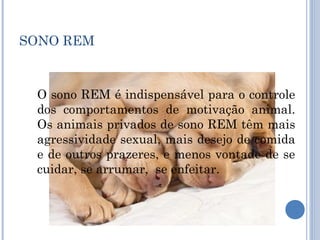 SONO REM



 O sono REM é indispensável para o controle
 dos comportamentos de motivação animal.
 Os animais privados de sono REM têm mais
 agressividade sexual, mais desejo de comida
 e de outros prazeres, e menos vontade de se
 cuidar, se arrumar, se enfeitar.
 