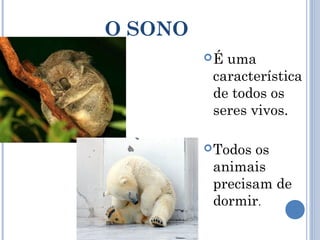 O SONO
         É uma
          característica
          de todos os
          seres vivos.

          Todosos
          animais
          precisam de
          dormir.
 