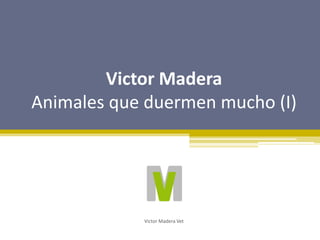 Victor Madera
Animales que duermen mucho (I)
Victor Madera Vet
 