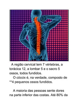 A região cervical tem 7 vértebras, a
torácica 12, a lombar 5 e o sacro 5
ossos, todos fundidos.
O cóccix é, na verdade, composto de
**4 pequenos ossos fundidos.
A maioria das pessoas sente dores
na parte inferior das costas. Até 80% da
 