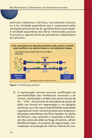 DOR NEUROPÁTICA: TRATAMENTO COM ANTICONVULSIVANTES
10
estímulos mecânicos e térmicos, normalmente inócuos,
ou a ter atividade espontânea que é responsável pelas
sensações persistentes de dor geralmente em queimação.
A atividade espontânea das fibras mielinizadas grossas
A provoca o aparecimento de parestesias independente
de estímulos;
Figura 1. Sensibilização periférica.
A dor espontânea nos aferentes primários pode produzir sensibili-
zação periférica nos axônios lesados e nos adjacentes íntegros
A desnervação parcial leva a aumento relativo dos níveis de GNF nas
células intactas
2) A regeneração nervosa provoca modificação da
permeabilidade das membranas neuronais e do
número, distribuição e cinética dos canais iônicos de
Ca++
e Na+
; há aumento da densidade de canais de
sódio nos troncos em regeneração e nos gânglios
sensitivos; com isto ocorre excitabilidade exacerbada
e geração de maior número de potenciais ectópicos e
descargas espontâneas nas ﬁbras lesadas. As células
de Schwann, que controlam a expressão e distribui-
ção dos canais de sódio ao longo do axônio, sofrem
desdiferenciação, no processo de regeneração, com
mudanças na produção de mielina e fatores de cres-
Hiperalgesia e alodinia mecânica e térmica
 