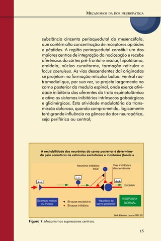 15
substância cinzenta periaquedutal do mesencéfalo,
que contém alta concentração de receptores opióides
e péptides. A região periaquedutal constitui um dos
maiores centros de integração da nocicepção e recebe
aferências do córtex pré-frontal e insular, hipotálamo,
amídala, núcleo cuneiforme, formação reticular e
locus coeruleus. As vias descendentes daí originadas
se projetam na formação reticular bulbar ventral ros-
tromedial que, por sua vez, se projeta largamente no
corno posterior da medula espinal, onde exerce ativi-
dade inibitória dos aferentes do trato espinotalâmico
e ativa os sistemas inibitórios intrínsecos gabaérgicos
e glicinérgicos. Esta atividade modulatória da trans-
missão dolorosa, quando comprometida, logicamente
terá grande inﬂuência na gênese da dor neuropática,
seja periférica ou central;
MECANISMOS DA DOR NEUROPÁTICA
Figura 7. Mecanismos supressores centrais.
Woolf & Mannion, Lancet 1999; 353.
A excitabilidade dos neurônios do corno posterior é determina-
da pela somatória de estímulos excitatórios e inibitórios (locais e
 