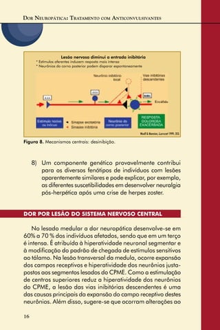 DOR NEUROPÁTICA: TRATAMENTO COM ANTICONVULSIVANTES
16
8) Um componente genético provavelmente contribui
para os diversos fenótipos de indivíduos com lesões
aparentemente similares e pode explicar, por exemplo,
as diferentes suscetibilidades em desenvolver neuralgia
pós-herpética após uma crise de herpes zoster.
DOR POR LESÃO DO SISTEMA NERVOSO CENTRAL
No lesado medular a dor neuropática desenvolve-se em
60% a 70 % dos indivíduos afetados, sendo que em um terço
é intensa. É atribuída à hiperatividade neuronal segmentar e
à modiﬁcação do padrão de chegada de estímulos sensitivos
ao tálamo. Na lesão transversal da medula, ocorre expansão
dos campos receptivos e hiperatividade dos neurônios justa-
postos aos segmentos lesados do CPME. Como a estimulação
de centros superiores reduz a hiperatividade dos neurônios
do CPME, a lesão das vias inibitórias descendentes é uma
das causas principais da expansão do campo receptivo destes
neurônios. Além disso, sugere-se que ocorram alterações ao
Figura 8. Mecanismos centrais: desinibição.
Woolf & Mannion, Lancet 1999; 353.
Lesão nervosa diminui a entrada inibitória
* Estímulos aferentes induzem resposta mais intensa
* Neurônios do corno posterior podem disparar espontaneamente
 