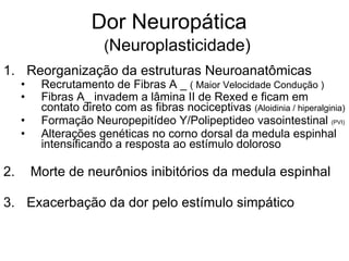 Dor Neuropática     ( Neuroplasticidade) Reorganização da estruturas Neuroanatômicas Recrutamento de Fibras A _  ( Maior Velocidade Condução ) Fibras A_ invadem a lâmina II de Rexed e ficam em contato direto com as fibras nociceptivas  (Aloidinia / hiperalginia) Formação Neuropepitídeo Y/Polipeptideo vasointestinal  (PVI)   Alterações genéticas no corno dorsal da medula espinhal intensificando a resposta ao estímulo doloroso Morte de neurônios inibitórios da medula espinhal 3. Exacerbação da dor pelo estímulo simpático  