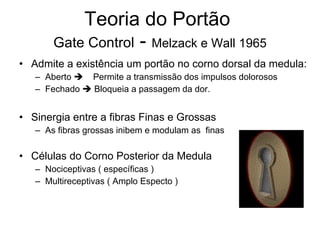 Teoria do Portão  Gate Control  -  Melzack e Wall 1965 Admite a existência um portão no corno dorsal da medula: Aberto     Permite a transmissão dos impulsos dolorosos Fechado    Bloqueia a passagem da dor. Sinergia entre a fibras Finas e Grossas As fibras grossas inibem e modulam as  finas Células do Corno Posterior da Medula Nociceptivas ( específicas ) Multireceptivas ( Amplo Especto )  