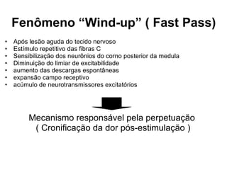 Fenômeno “Wind-up” ( Fast Pass)  Após lesão aguda do tecido nervoso Estímulo repetitivo das fibras C Sensibilização dos neurônios do corno posterior da medula Diminuição do limiar de excitabilidade aumento das descargas espontâneas  expansão campo receptivo acúmulo de neurotransmissores excitatórios Mecanismo responsável pela perpetuação  ( Cronificação da dor pós-estimulação ) 