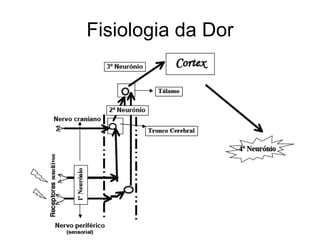 Fisiologia da Dor 