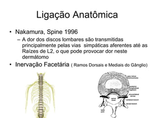 Ligação Anatômica  <ul><li>Nakamura, Spine 1996 </li></ul><ul><ul><li>A dor dos discos lombares são transmitidas principal...