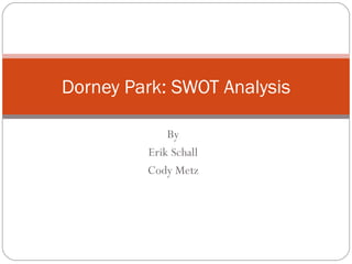 By Erik Schall Cody Metz Dorney Park: SWOT Analysis 